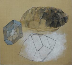 Analogie 1 Analogie 1