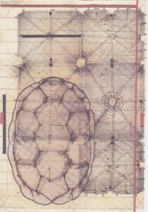 Analogie 2 Analogie 2