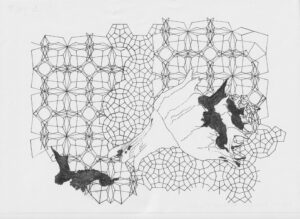 Forreria Belcheri, 2009