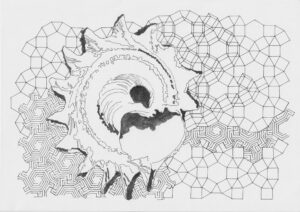 Turbanschnecke, 2010, Privatbesitz Wien, A Turbanschnecke, 2010, Privatbesitz Wien, A