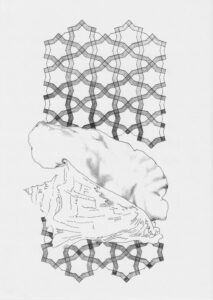 Giant Wing conch 2008